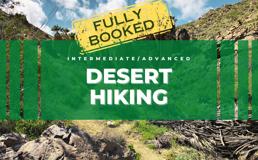 Desert Hiking (Intermediate/Advanced) – FULLY BOOKED